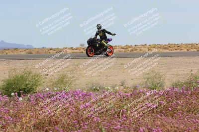 media/Mar-12-2023-SoCal Trackdays (Sun) [[d4c8249724]]/Turn 15 Inside Bloom (130pm)/